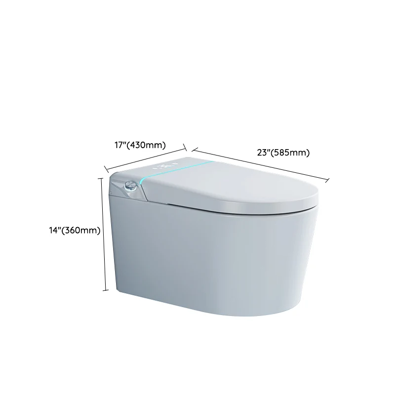 RVS (Roestvrij Staal) Elongated Wall Mounted Bidet Sneeuwwit Wall Hung Toilet Set Unlimited Warm Water