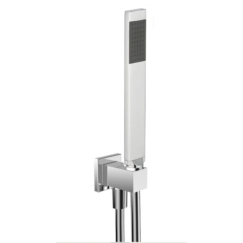 Shower set stainless staal shower head 50x22, duplex set and thermostatic mixer met Handdouche | 1,5m Slang