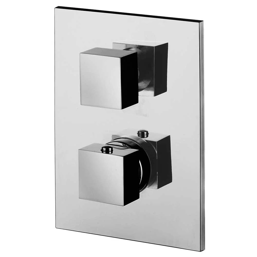 Shower set stainless staal shower head 50x22, duplex set and thermostatic mixer met Handdouche | 1,5m Slang