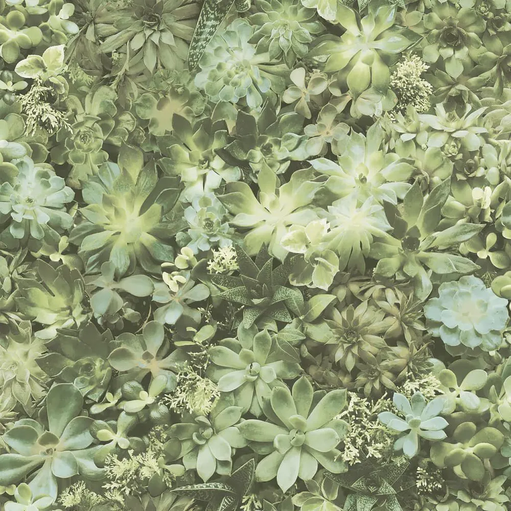 Noordwand Behang Evergreen Succulent groen en ecru