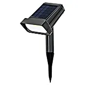 BAUHAUS Solarfakkel met grondpen Verfijnd - Led, Hoogte: 31 cm