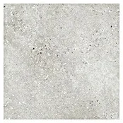 Decocer Cinca Keramische tegel Vintage grey - 60 x 60 cm, Grijs