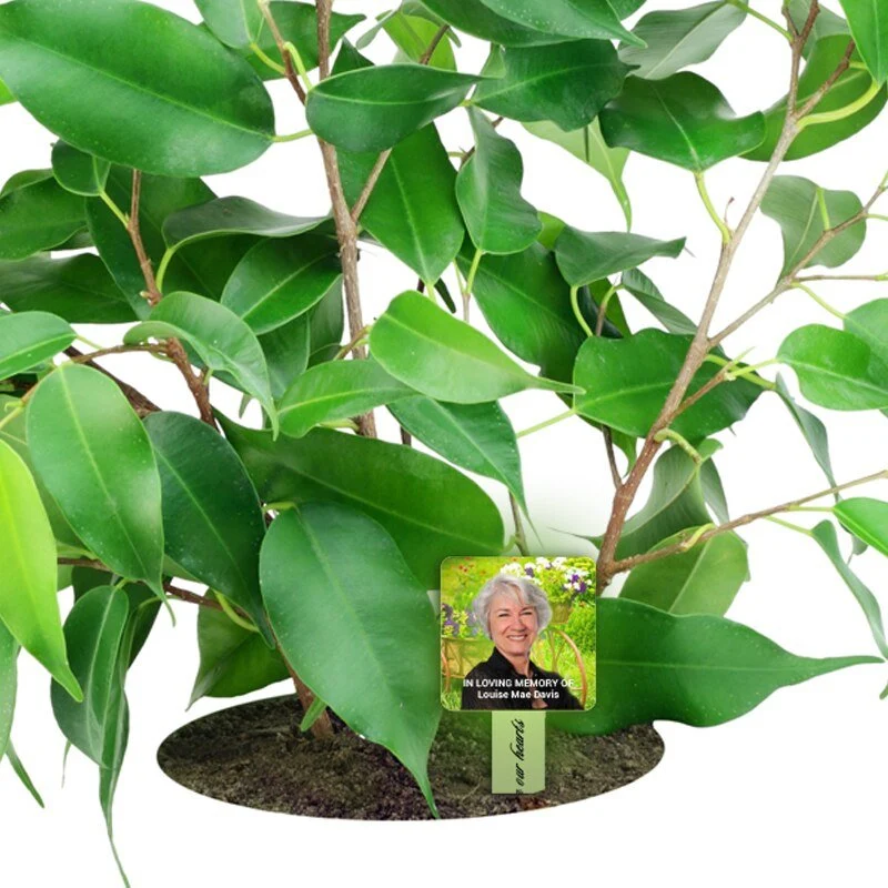 Golden Flourish Uniek gemaakt Memorial Garden Plant Stake