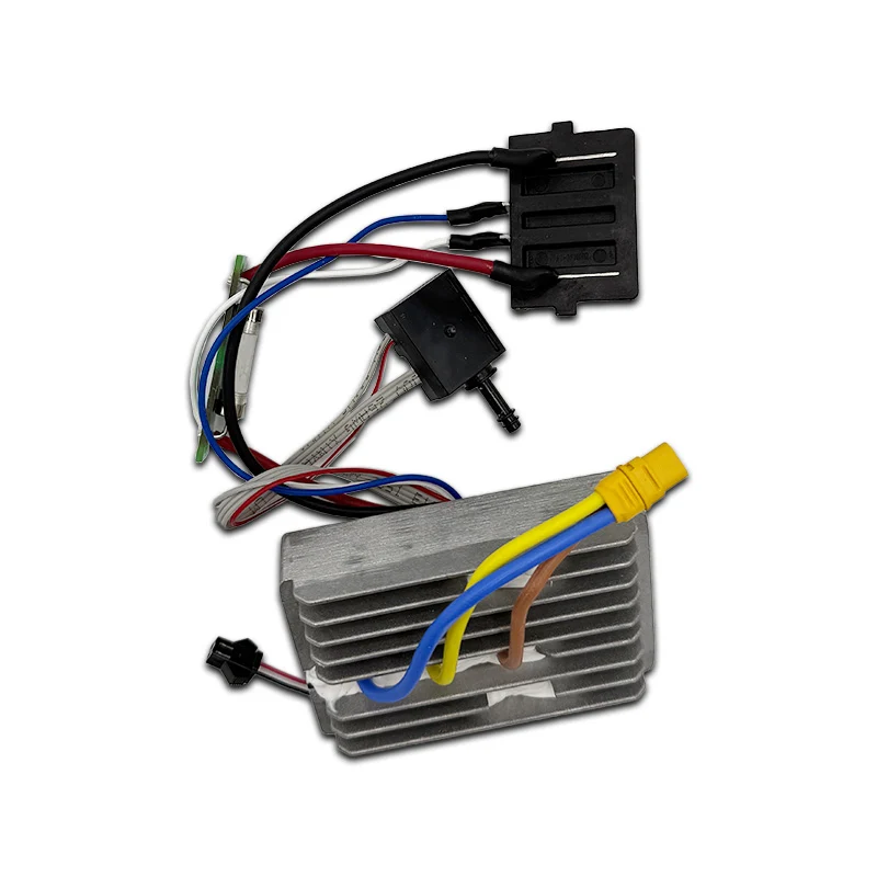 IP55 Beschermde EGO 2831336001 Electric Assembly