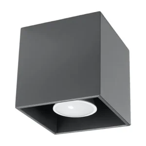 Plafondlamp hedendaags van - 1 lichtbronnen - L.10 x H.10 cm - antraciet met Dimbare LED
