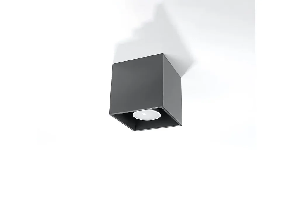 Plafondlamp hedendaags van - 1 lichtbronnen - L.10 x H.10 cm - antraciet met Dimbare LED