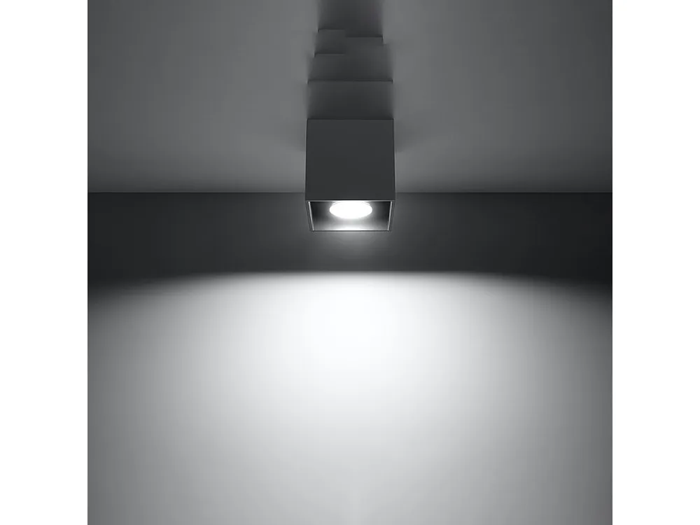 Plafondlamp hedendaags van - 1 lichtbronnen - L.10 x H.10 cm - antraciet met Dimbare LED