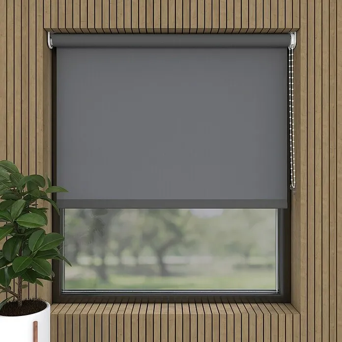 Rolgordijn - b x h: 70 x 190 cm, Daglichtdoorlatend