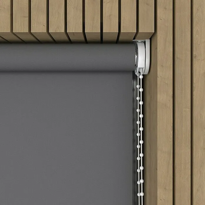 Rolgordijn - b x h: 70 x 190 cm, Daglichtdoorlatend