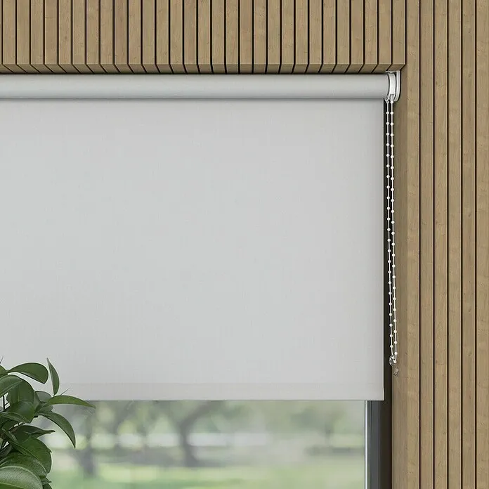 Rolgordijn - b x h: 80 x 190 cm, Daglichtdoorlatend