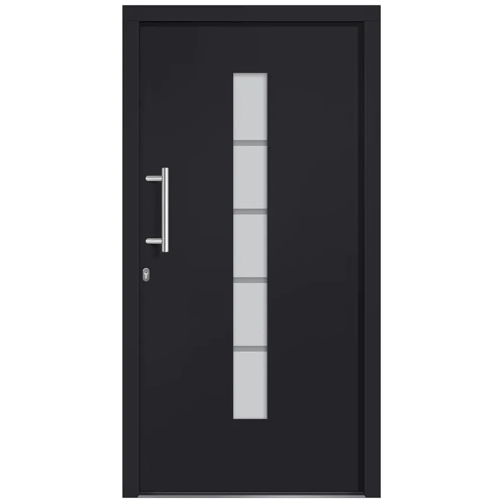 Voordeur 100x200 cm aluminium en VINYL antraciet