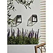 Solar-wandledlamp voor buiten Vigo Wall - l x b x h: 94 x 67 x 134 mm, Accuduur: 6 u
