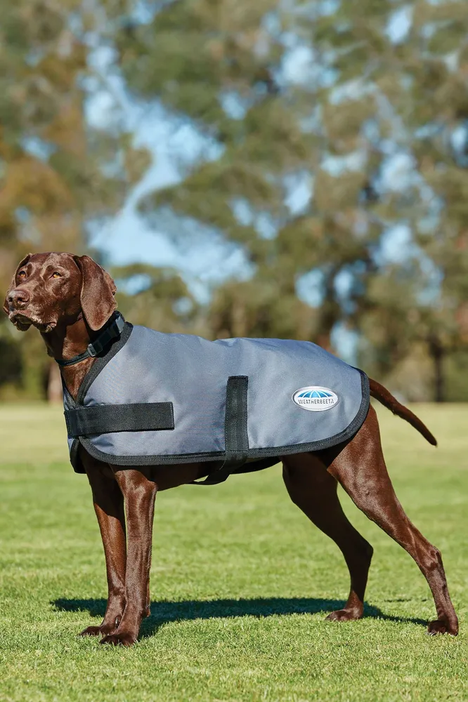 Comfitec Classic Dogcoat (25-40cm) Dark Grey 25