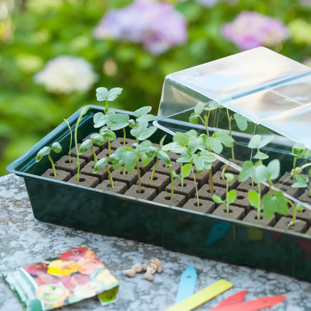 Gegalvaniseerd Nature Kweekbak miniset 4x16 vakken