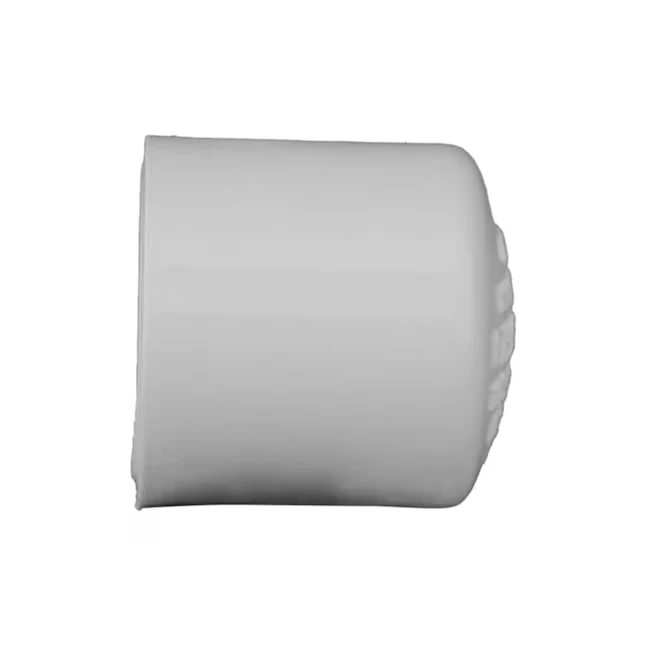 Charlotte Pipe 1- Schedule 40 VINYL Socket Cap