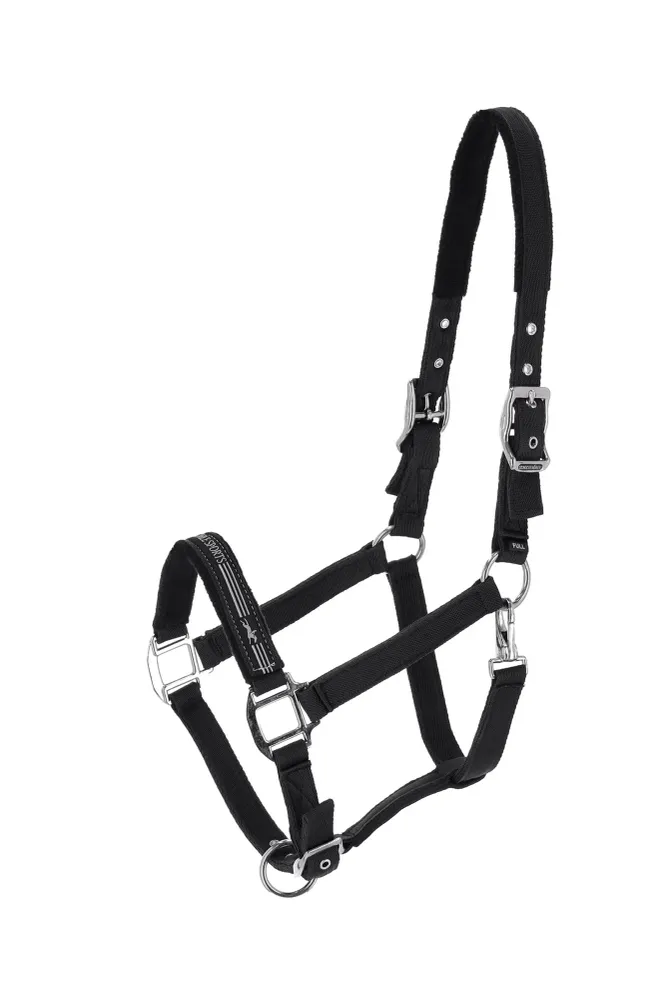Uittrekbaar Memphis II Halter Dark Grey P