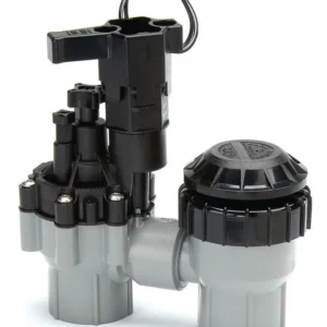 Rain Bird - 075ASVF 3/4 . Van kunststof Residential Anti-Siphon Irrigation Valve w/ Flow Control met 7.5m Snoer