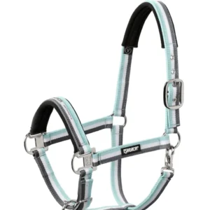 Verstelbare hoogte Halter Pin Buckle Ice-White-Stone C