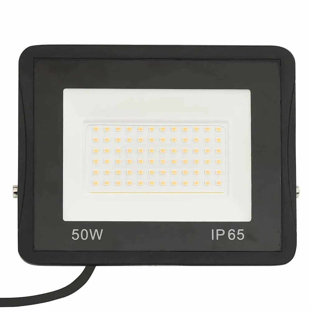 Spotlight LED 50 W koudwit