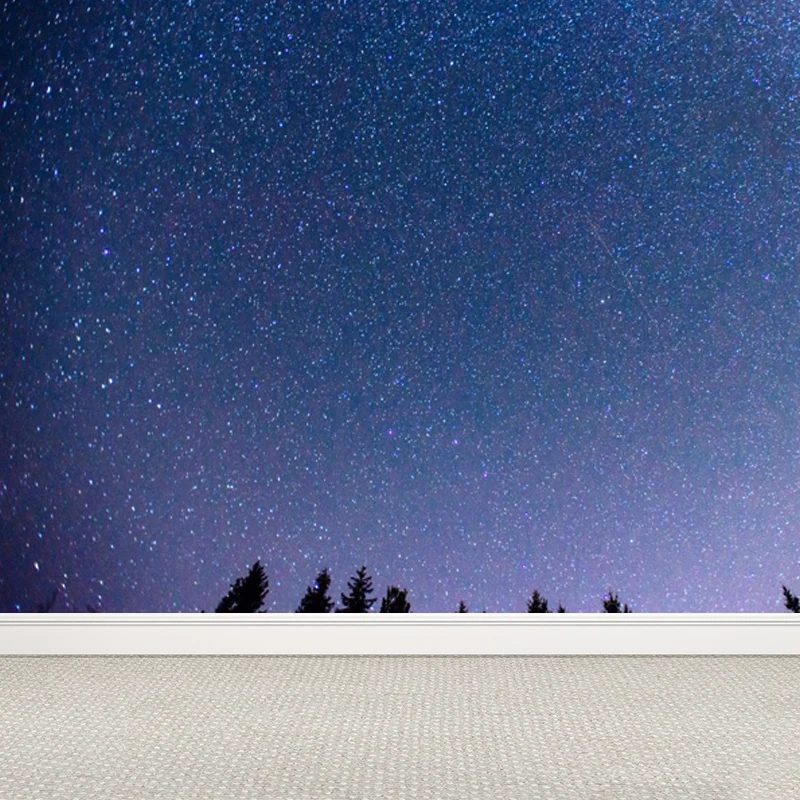 Full Size Photography Modern Mural Decal Night Sky Pattern Constellations Pruimenpaars Purple
