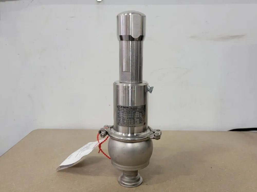 Safety Valve Clean Service Type 4884.8844