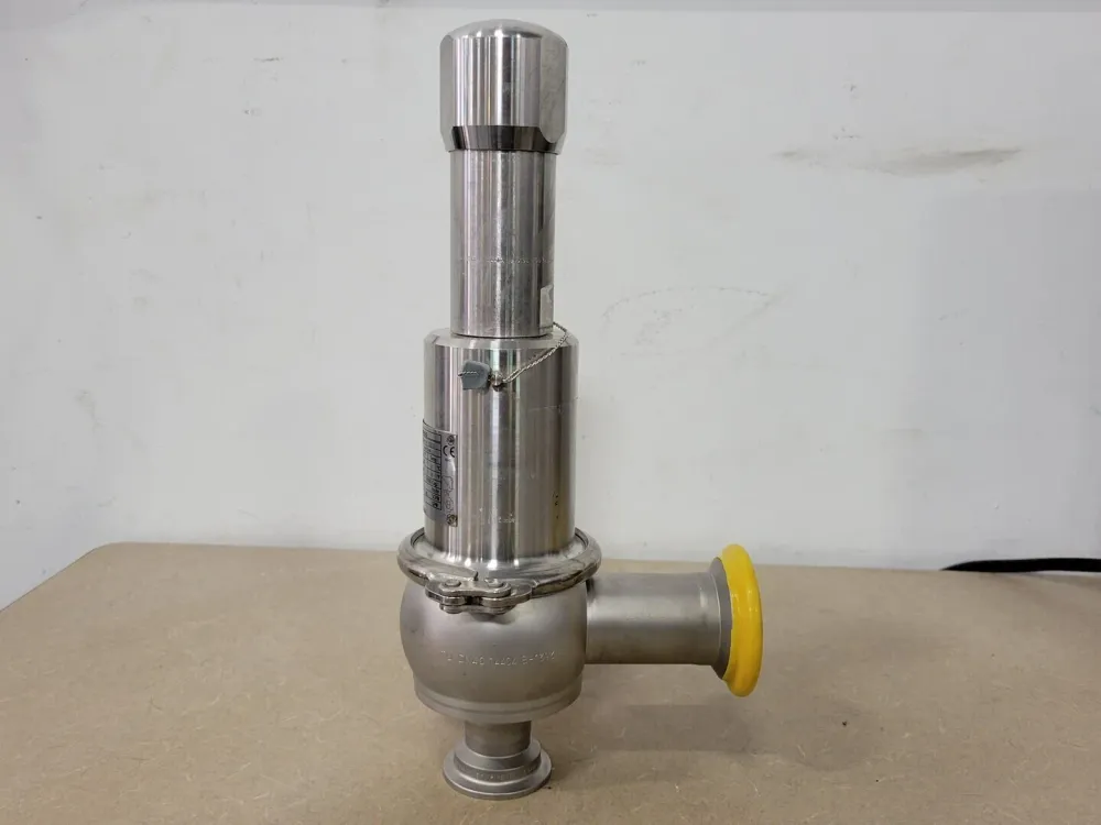 Safety Valve Clean Service Type 4884.8844