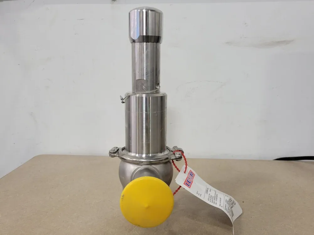Safety Valve Clean Service Type 4884.8844