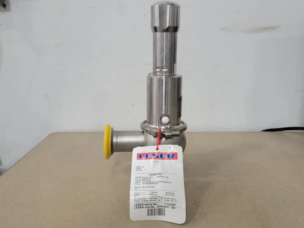 Safety Valve Clean Service Type 4884.8844