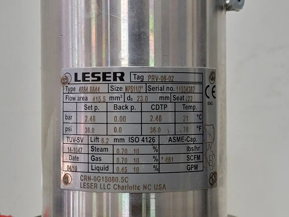 Safety Valve Clean Service Type 4884.8844