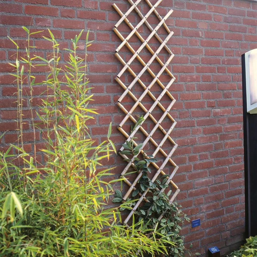 Nature Latwerk voor tuin 70x180 cm bamboe 6040721