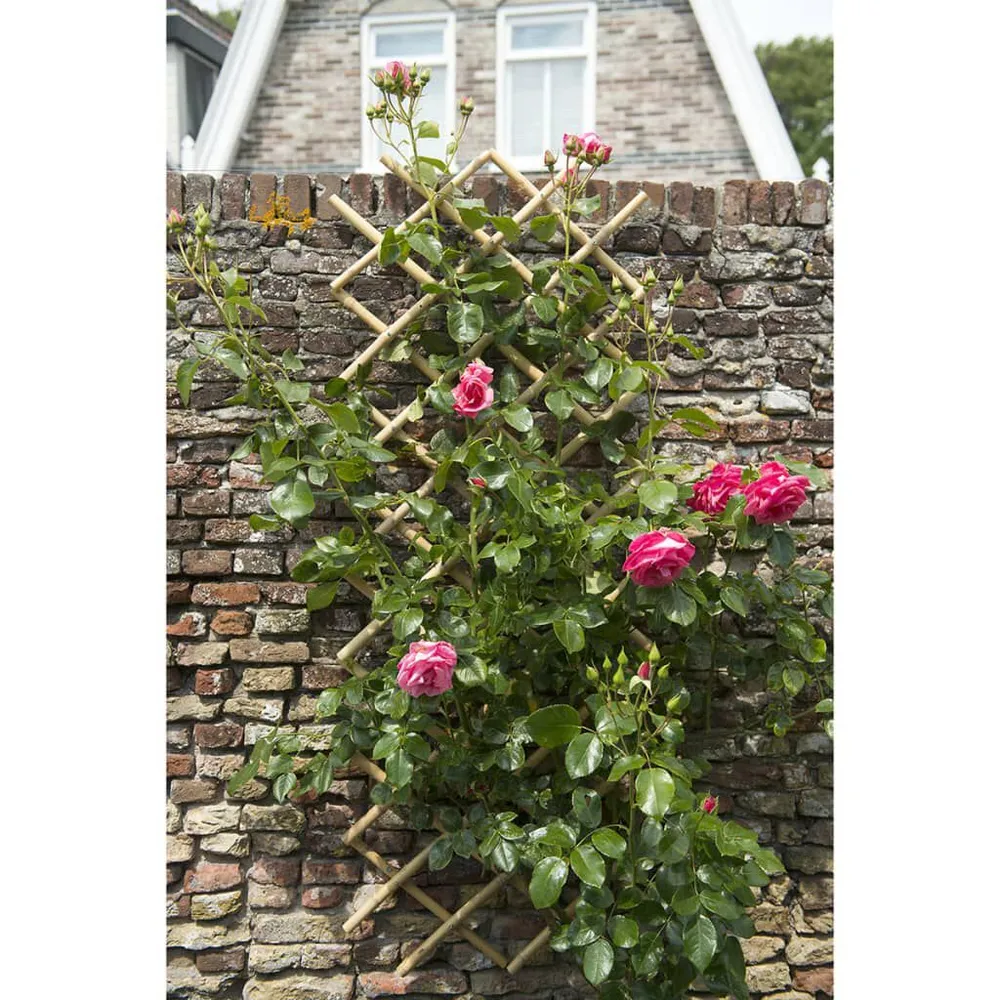 Nature Latwerk voor tuin 70x180 cm bamboe 6040721