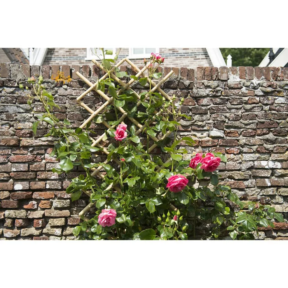 Nature Latwerk voor tuin 70x180 cm bamboe 6040721