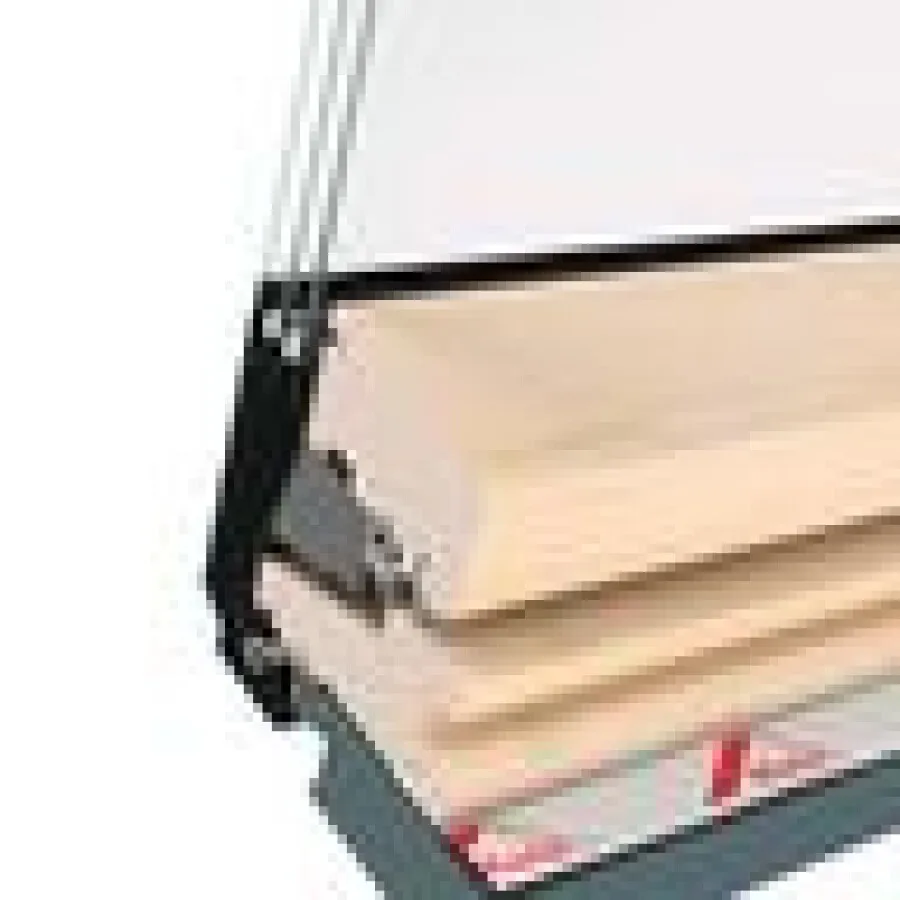 Roto dakraam - Designo R4 - hout wit gelakt - 74x98cm