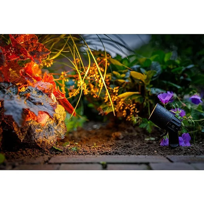Garden Lights Led-tuinspot Neso - 2 W, Zwart, 70 x 38 x 220 mm