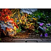 Garden Lights Led-tuinspot Neso - 2 W, Zwart, 70 x 38 x 220 mm