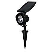 Led-tuinspot Texas - Accuduur: 8 u, Vervangbare ledlamp, l x b x h: 203 x 110 x 362 mm