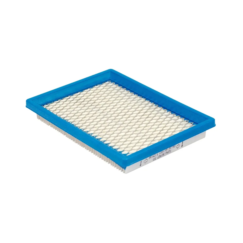 Briggs & Stratton 397795S /C Cartridge Filter