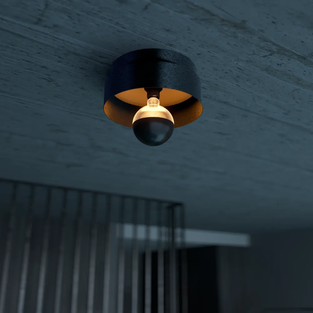 Calex Plafonniere - Spiegel - Zwart - Diameter 30cm