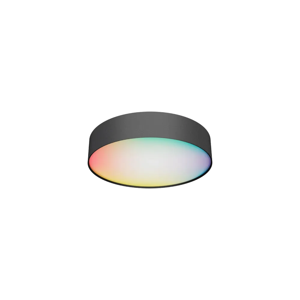 Calex Slimme LED Plafond Lamp - 30cm - RGB - CCT - 16W