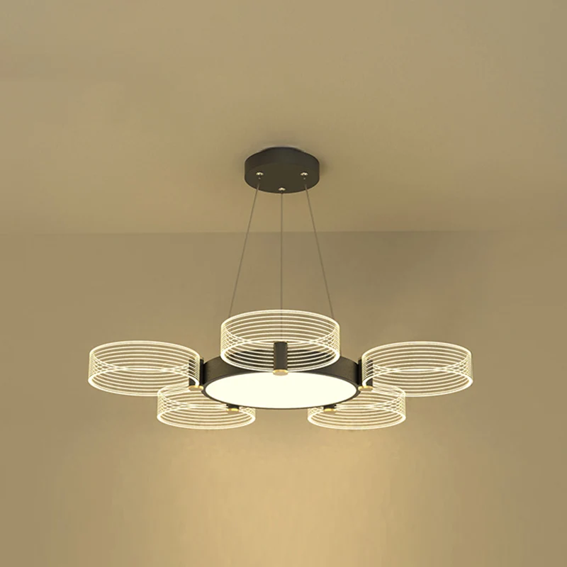 Cirkel kroonluchter verlichting modernistische acryl plafond hanglamp voor woonkamer Clearhalo