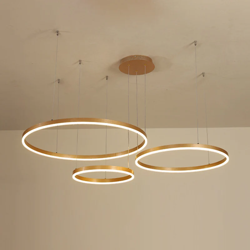 Gouden ring hangende kroonluchter moderne 2/3/4 lichten acryl led hangende plafondlamp wit/warm licht Clearhalo