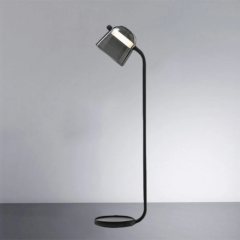 Koepelvormige schaduw Slaapkamer Vloerverlichting Zwart glas Enkel licht Modernisme Leesvloerlamp Clearhalo