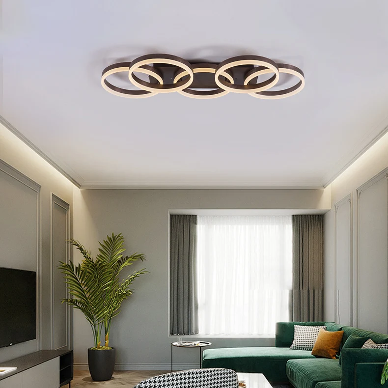 Moderne Ring LED-plafondlamp Acryl inbouwplafondlamp bruin voor slaapkamerwinkel voor volwassenen Clearhalo