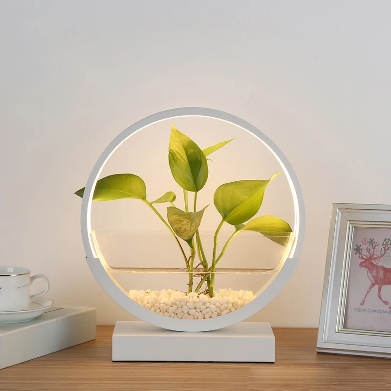 Nordic Circle tafellamp acryl slaapkamer LED-nachtlampje met hydrocultuur plantenpotontwerp Clearhalo