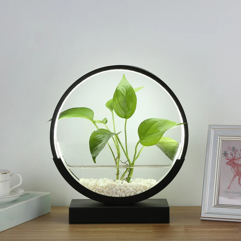 Nordic Circle tafellamp acryl slaapkamer LED-nachtlampje met hydrocultuur plantenpotontwerp Clearhalo