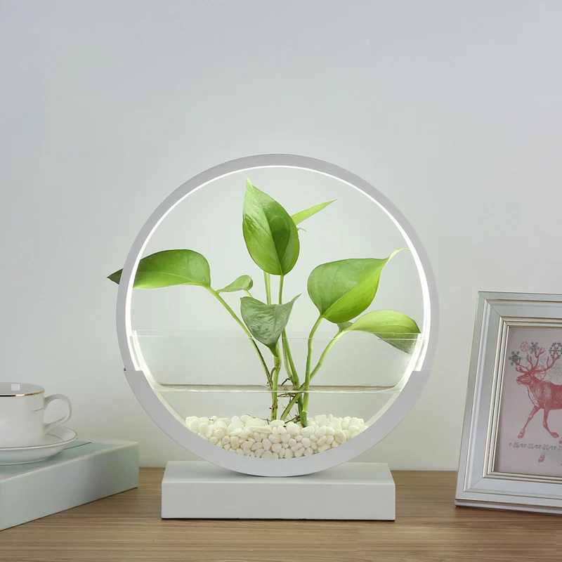 Nordic Circle tafellamp acryl slaapkamer LED-nachtlampje met hydrocultuur plantenpotontwerp Clearhalo