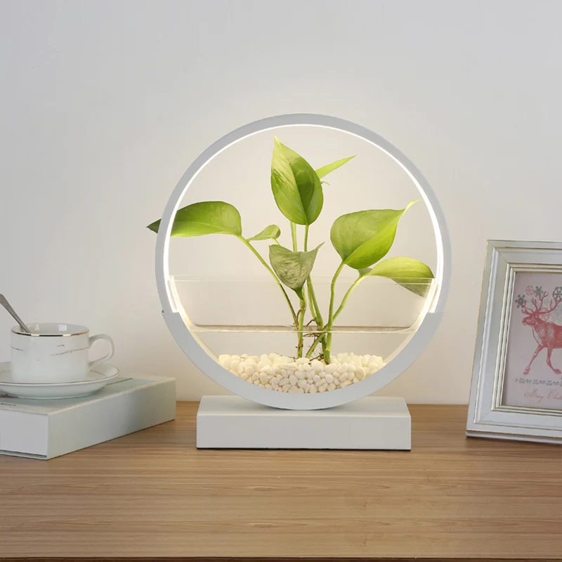Nordic Circle tafellamp acryl slaapkamer LED-nachtlampje met hydrocultuur plantenpotontwerp Clearhalo