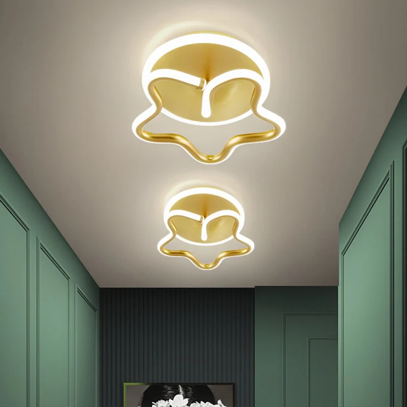 Ster acryl plafondverlichting minimalisme wit/goud/koffie LED semi-inbouwlamp warm/wit licht voor gang Clearhalo