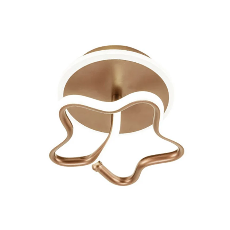 Ster acryl plafondverlichting minimalisme wit/goud/koffie LED semi-inbouwlamp warm/wit licht voor gang Clearhalo