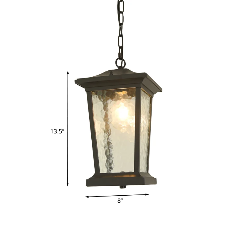 Vogelkooi-plafondlamp met één kop, plattelandszwart waterglas, neerwaartse verlichtingshanger Clearhalo